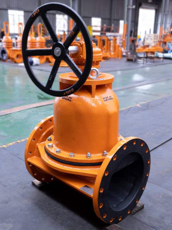 Dual Valve