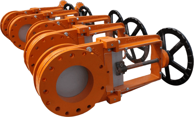 Dual Valves