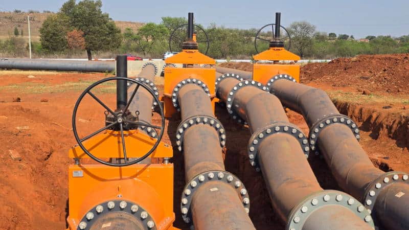 Slurry Dual Valves